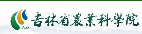 image-20250316191946682